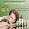 Bella Terra Oils - Avocado Oil 4oz - Pure Essence of Cold-Pressed Avocado, Boosted with Vitamin A, Impeccable for Mixing and Blending