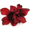 Double Romantic Red Apple Blossom Silk Flower Hair Clip with Teeth