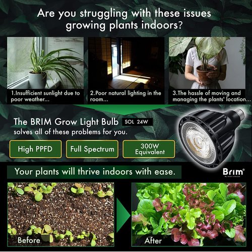 BRIM Grow Light Bulb for Plants, High PPFD 1100μmol/m²/s (1ft), Full Spectrum 24W (300W Equivalent) LED Grow Light Bulb, Grow Lights for Indoor Plants, E26 Grow Light Bulbs, 1-Pack (5800K, SOL 24W)