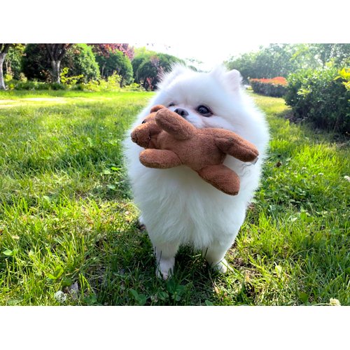 YOHAKI Interactive Dog Toys Stuffed Animals for Small Dogs Boy & Girl Baby Toddlers Kawaii Cute Plushies Personalized First Birthday Gifts Farm Animals Puzzle Toys Halloween (Stump and 2 Bears)