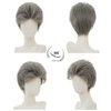 Tseses Grey Short Wigs for Men Anime Synthetic Layered Fluffy Heat Resistant Cosplay Costume Hair Wig