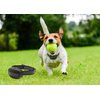WIEZ GPS Wireless Dog Fence, Electric Dog Fence with GPS, Range 100-3300 ft, Adjustable Warning Strength, Rechargeable, Pet Containment System, Harmless and Suitable for All Dogs