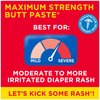 Boudreaux's Butt Paste Diaper Rash Ointment | Maximum Strength | 14 Ounce and 2 Ounce, Combo 1