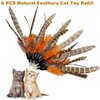 TIENAILING Cat Feather Toys Refills Cat Wand Replacement, 6 PCS Handmade Natural Da Bird Feathers Refill, Cat Toy Feather Replacement for Indoor Cats (B)