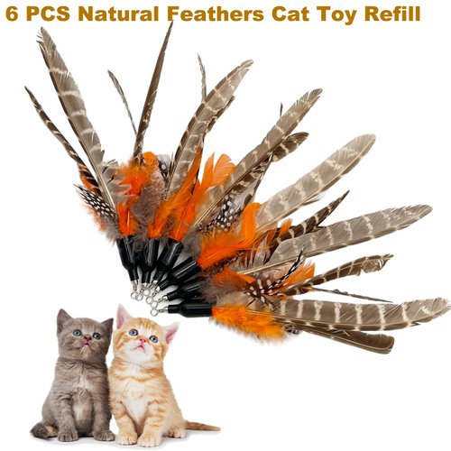 TIENAILING Cat Feather Toys Refills Cat Wand Replacement, 6 PCS Handmade Natural Da Bird Feathers Refill, Cat Toy Feather Replacement for Indoor Cats (B)
