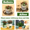 20 Pack Clear Plastic Plant Saucers (8 inch) Drip Trays Plant Plate Dish for Indoor Planters Flower Pots, Bulk