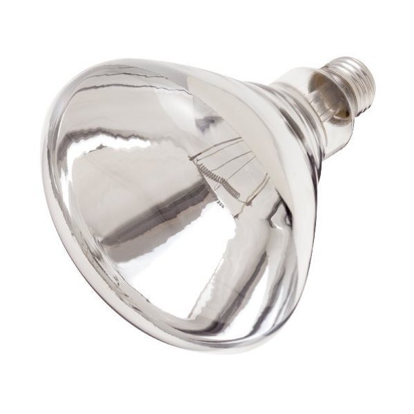 Satco S4885 120V 250 Watt R40 Medium Base Shatterproof Heat Lamp, Incandescent, Clear - 2 Pack