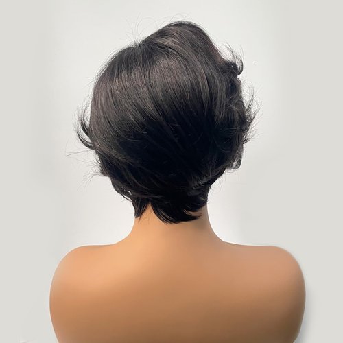 SHUNHUIXC Pixie Cut Wig Human Hair 13x4 Lace Front Wigs 8 inch Short Pixie Cut Glueless Human Hair Wigs Pre Plucked Short Straight Bob Wigs for Black Women 180% Density Natural Hairline Natural Black