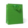 allgala 12PK Value Premium Solid Color Paper Gift Bags (09" MED-Green-GP50071)