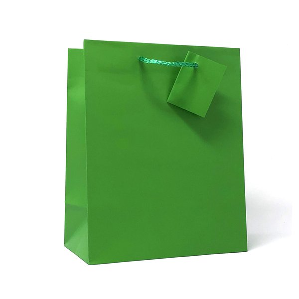allgala 12PK Value Premium Solid Color Paper Gift Bags (09" MED-Green-GP50071)