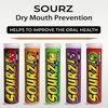 Xero Picks - Sourz Infused Flavored Toothpicks for Long Lasting Fresh Breath - 100 Picks - 5 Pack - Variety Pack