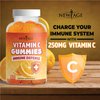 Zinc Gummies - 2 Pack - 50mg High Immune Booster Zinc Supplement, Immune Defense, Powerful Natural Antioxidant, Non-GMO - by New Age (Zinc/Vitamin C)
