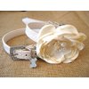 House of FurBaby Flower Dog Collar | Wedding Dog Collar | XS S M L (M w/Leash, Ivory Collar)