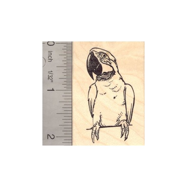 Macaw Parrot Rubber Stamp Bird Perched