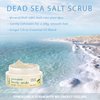 Deluvia Dead Sea Salt Exfoliating Face & Body Moisturizing Scrub, Ginger and Citrus Essential Oils, Vitamin E for Dry Skin - Leaves Skin Silky Smooth with Lasting Hydration for Men & Women (Two Pack)