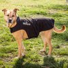 DOGHELIOS 'Lotus-Rusher' Waterproof 2-in-1 Pet Dog Jacket Coat with Removable Polar Fleece Lining w/ Blackshark technology, X-Small, Grey, Black
