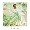 DoMiDoLa 40pcs Princess Tiana Party Supplies include 20 plates, 20 napkins for the Princess Tiana birthday party