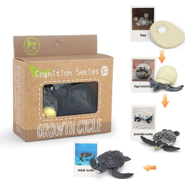 Montessori Life Cycle Animal Figures with Flash Cards, Realistic Animal Figurines Toy, Animal Educational Matching Game for 3+ Year Old Toddlers Kids (Turtle)