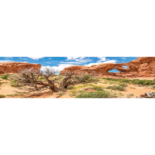 Reptile Habitat Background; Double Arch with Tree, for 48Lx18Wx24H Terrarium, 3-Sided Wraparound