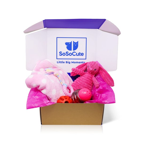 SoSoCute Pink Dog Gift Box - Puppy Chew Toy Set of 5 - Puppy Care Package with Dog Blanket, Squeaky Plush, Rubber Puppy Teether, Teething Ball, and Treat Ball for Small and Medium Dogs