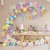 Happy Birthday Banner Little Daisy Banner for Kids Adults Birthday Party Decorations (Macaron+White)