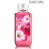 EASY SPA Shower Gel For Body Wash, Aromatic Body Gel For Relaxing Skin Cleansing, Perfect Shower Gel For Women With Many Fragrances For Choose - 10 oz / 295 mL (Almond & Vanilla)