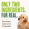 Waggin' Train Chicken Jerky for Dogs - Limited Ingredient Dog Treats for Dogs 30 oz. Pouch