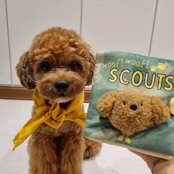 Generic Dog Enrichment Toys, Interactive Sniff Mat Cute Slow Feeder Dog Snuffle Book Interactive Dog Toys Dog Feeding Mat Squeaky Snuffle Mat Puzzle Toys for Pet, Green