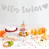 Glitter Silver It's Twins Banner - Baby Shower - Oh Babies First Birthday Banner - Baby Birthday Party Decorations