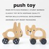 Wee Gallery Bunny Push Toy, Rolling Toy, Classic Motion Toys for Child Motor Skills, Balance, Roll Along Play, and Animal Nursery Decor (Baby, Toddler, Kids)
