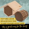 Rivajam 125 Mason Bee House Cardboard Nest Tubes Refill Pack | Solitary Bee Hive & Mason Bee Supplies | Mason Bee Starter Kit & Bee Habitat Garden Gift | Bee Hotels Tubes & Bee Nest Box Inserts Liners