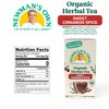 Newman's Own Organic Sweet Cinnamon Spice Herbal Tea with Rooibos Tea with Organic Ginger 20 Individually Wrapped Tea Bags Per Box (Pack of 6) USDA Certified and Kosher Cinnamon Tea Caffeine-Free
