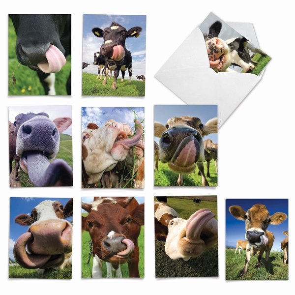 The Best Card Company - 10 Adorable Note Cards Blank (4 x 5.12 Inch) - Wildlife and Animal Cards, Assorted Boxed Kids Set - Cowlicks M4604OCB-B1x10