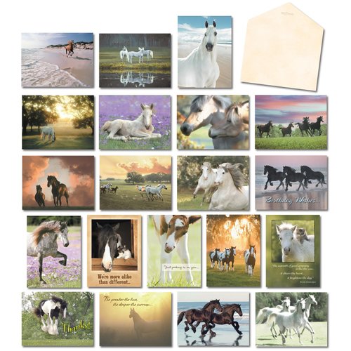 Leanin' Tree, Horse Country, Greeting Cards Assortment Box All Occasion with Inside Message and Blank Cards (20 Assorted Cards, 22 Colorful Envelopes)