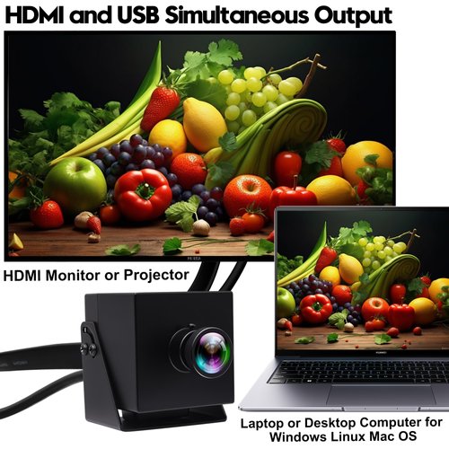 IFWATER HDMI USB Camera 60fps High Speed Camera 4K HDMI USB3.0 Simultaneous Output PC Camera 2X Digital Zoom Camera with 120 Degree No Distortion Lens Supply for Church Services Worship Education Work