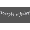 Scorpio Baby Birthday Banner, Zodiac Scorpio Season Bunting Sign, Horoscope/Astrology Birthday/Baby Shower Party Decorations Supplies, Silver Glitter