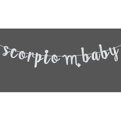 Scorpio Baby Birthday Banner, Zodiac Scorpio Season Bunting Sign, Horoscope/Astrology Birthday/Baby Shower Party Decorations Supplies, Silver Glitter