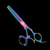 Kashi CB-522TR Swivel Thumb 30 Teeth 6" Rainbow Thinning/Texturizing Shears