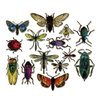 Tim Holtz Entomology - Stampers Anonymous Cling Stamps and Sizzix Framelits Die Set - Two Item Bundle