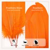 FeelfunFeather 120pcs Orange Goose Feathers 6-8 Inch 15-20cm Decorative Natural Goose Nagoire Feather Bulk for DIY Crafts Cosplay Wedding Party Christmas Halloween Home Decoration