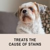 Eye Envy Tear Stain Remover Solution for Dogs|100% Natural,Safe|Recommended by Breeders/Vet/Professional Handlers/Groomers|Contains colloidal Silver|Remove Stains from White/Light Fur,Skin Folds (4oz)