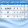Vizari Kids Dynamo Soccer Shorts | for Boys and Girls (Royal, Youth L)