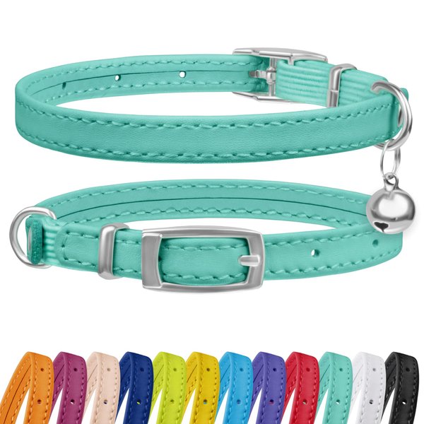 CollarDirect Leather Cat Collar with Bell - Kitten Collar, Small and Big Cat Collar for Boy Cats, Girl Cats with Safety Elastic Strap (Neck Fit 8"-11", Mint Green)