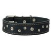 Dogs My Love Genuine Leather Dog Collar Studded 1.5" Wide, 16.5"-20" Neck (Black)
