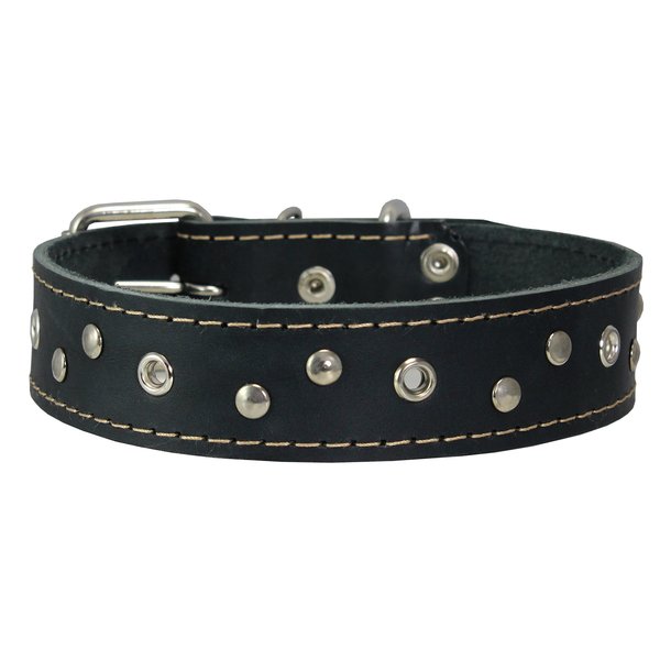 Dogs My Love Genuine Leather Dog Collar Studded 1.5" Wide, 16.5"-20" Neck (Black)