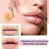 TTYRBF 4Pcs Lip Plumper Set,Lip Plumper,Natural Lip Plumper kit,Day and Night Lip Plumper