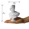 Garwor Apollo Bust Greek and Roman Mythology God of Sunlight 6 inch Resin Head Bust Sculpture Figurine Home Decor