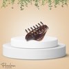 Parcelona French Swift Tortoise Shell Celluloid Covered Spring Medium Jaw Hair Claw Clip Clamp