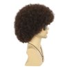 VGbeaty Afro Fluffy Wig for Men or Women Short Curly Dark Brown Rocker Wig California Halloween Hippie Party Cosplay Costume Wig (Dark Brown)