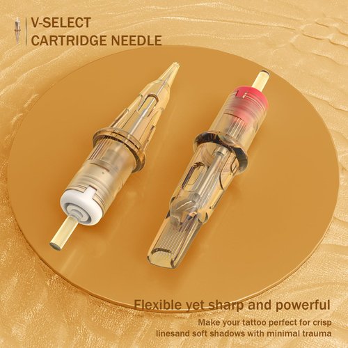 EZ Tattoo Cartridge Needles - 20Pcs #10 (9RM) Bugpin Curved/Round Magnum Disposable Tattoo Needles Cartridges for Rotary Tattoo Machine Pen Gun - V SELECT